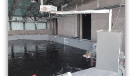 自动料台及自动投喂系统